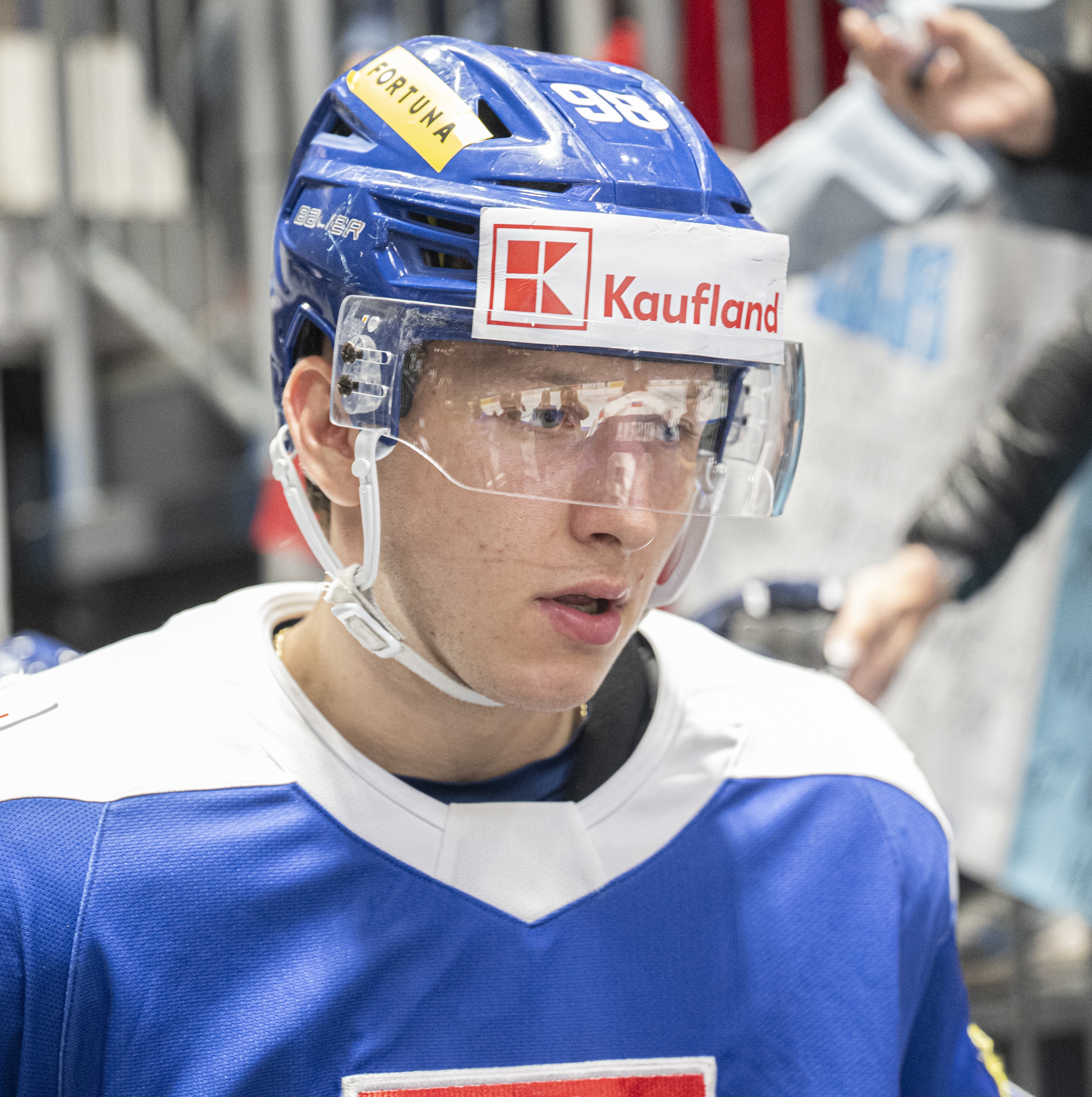 Hokejová reprezentácia